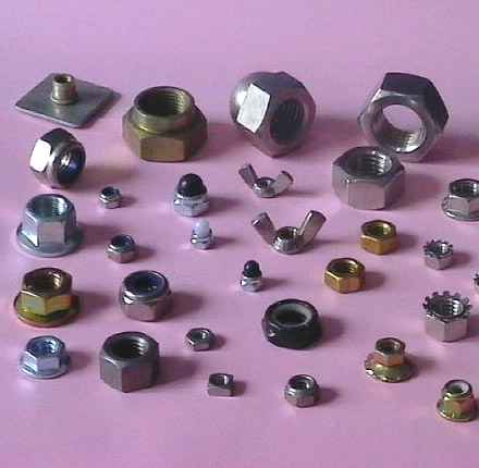 ���⣺�������ĸ,��Ƭ  �Ķ�������2025