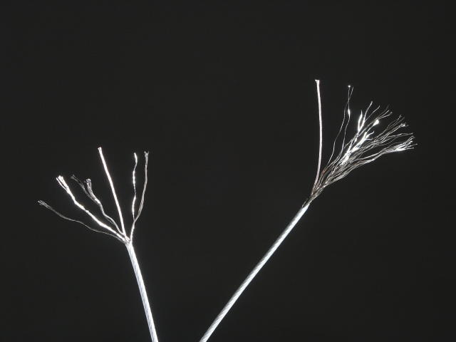 ���⣺�����˿ �Ķ�������1501